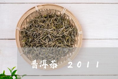 普洱茶 2011/2023041269373